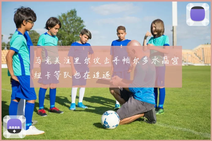 马竞关注里尔攻击手帕尔多水晶宫纽卡等队也在追逐
