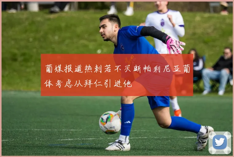 葡媒报道热刺若不买断帕利尼亚葡体考虑从拜仁引进他