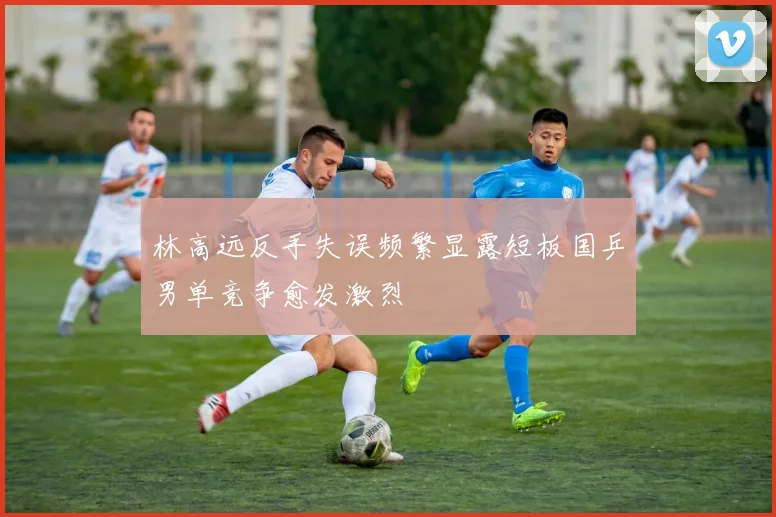 林高远反手失误频繁显露短板国乒男单竞争愈发激烈