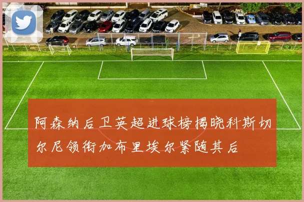 阿森纳后卫英超进球榜揭晓科斯切尔尼领衔加布里埃尔紧随其后