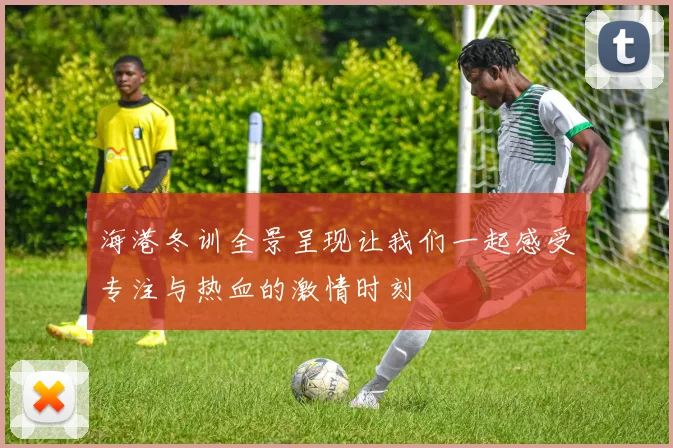 海港冬训全景呈现让我们一起感受专注与热血的激情时刻